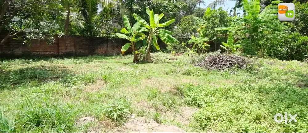 12 CENTS LAND AT MUNDEKKEL NEAR POLAYATHODE