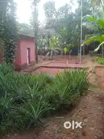 Residential walled plot for sale in Elayavoor near Airport road