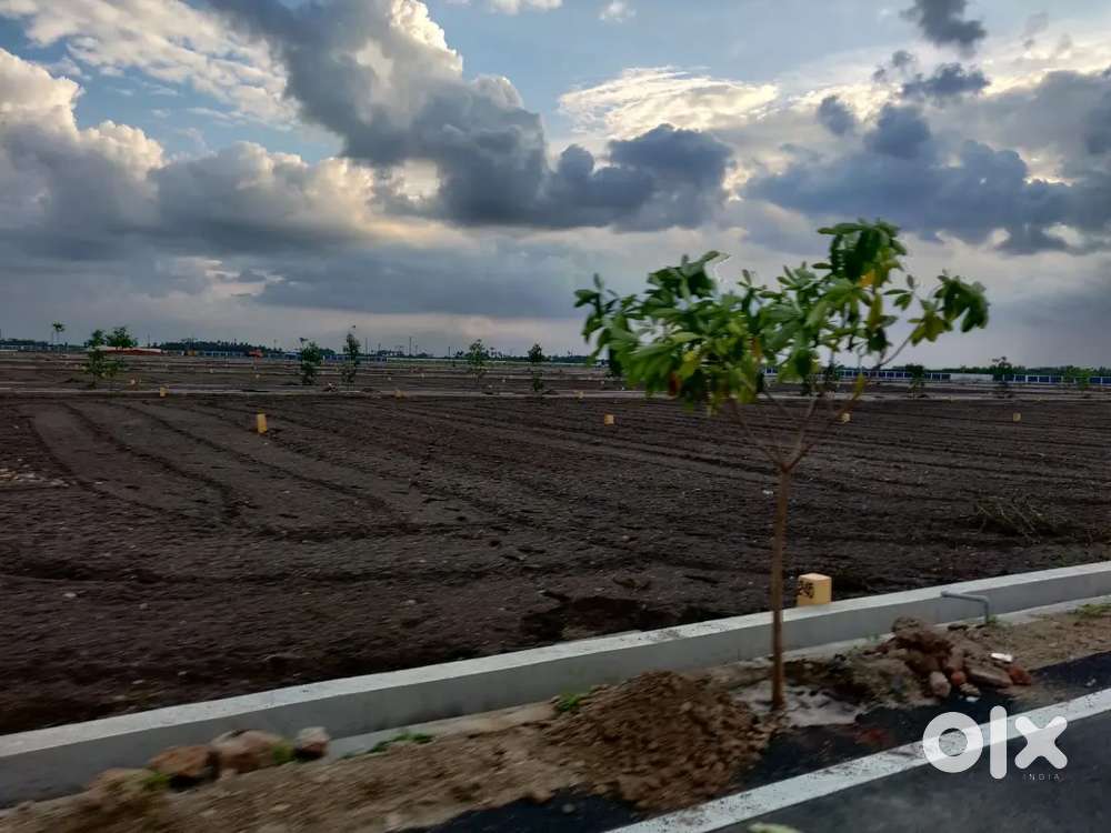 Live Grand With spacious