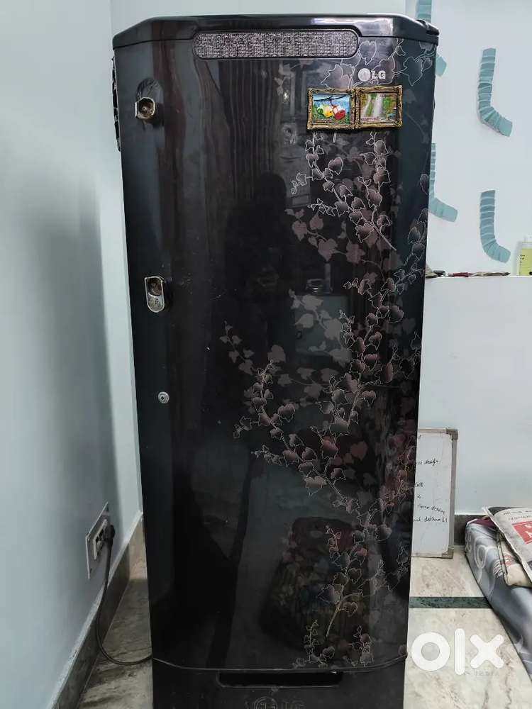 LG Fridge 235L