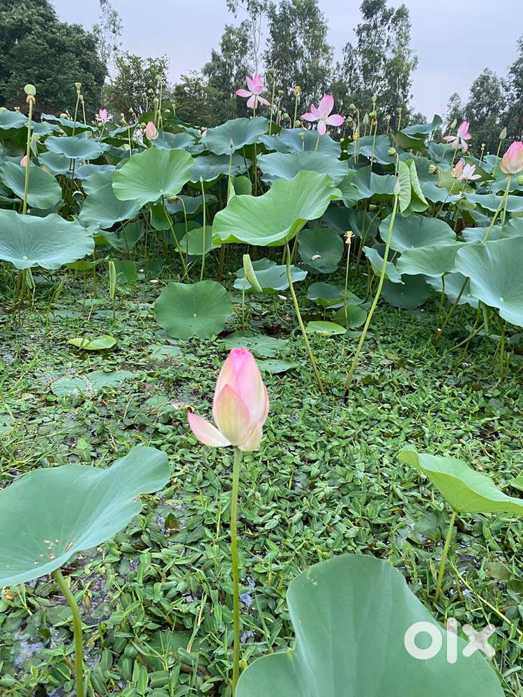 I am deiver i need part time driver job in your city