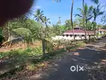 Century hospital Kidanganoor road side 31 cent house plot sale