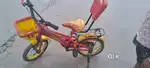 Kids cycle