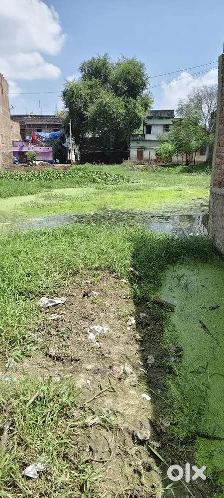 2 katha plot