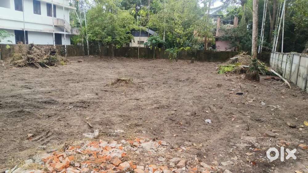 Very beautiful plot in cherai. 13 cent. 6 lakhs / cent