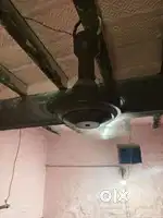 celing fan