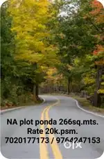 NA plot ponda