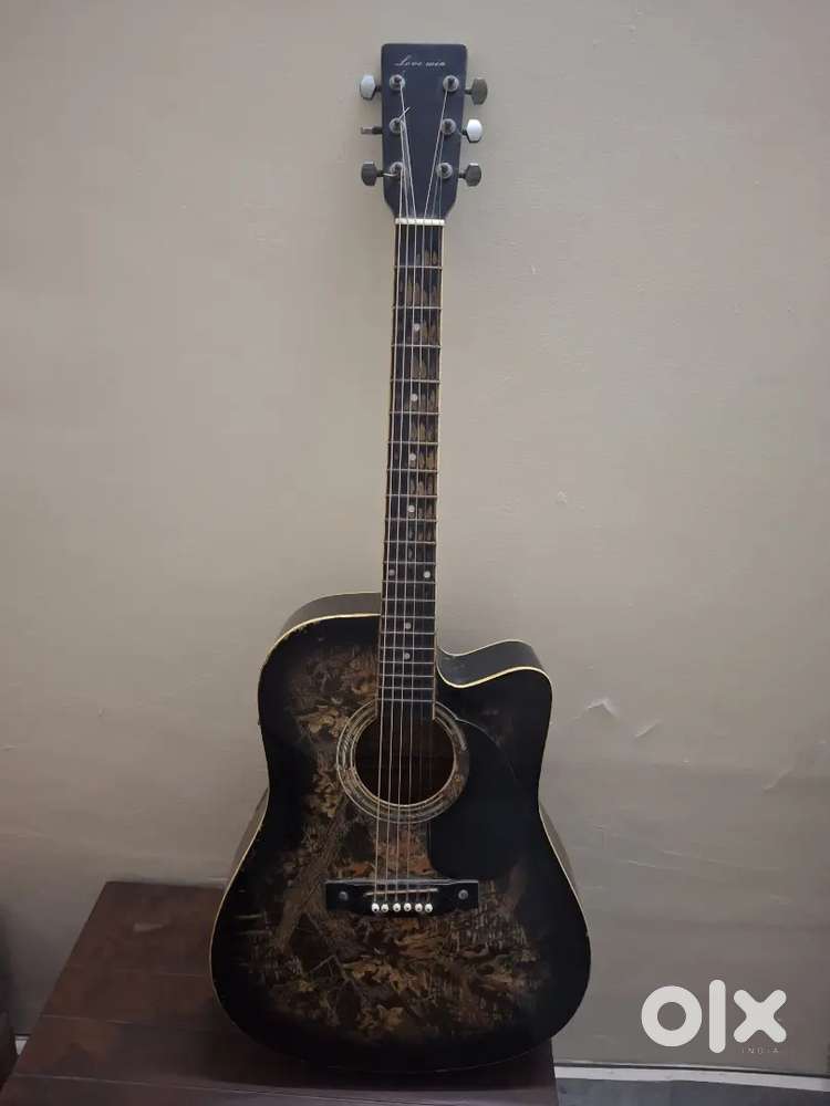 Guitar (Professional)