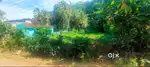 Land-17 cent for sale near  Amala- Vilangan kunnu, Thrissur.