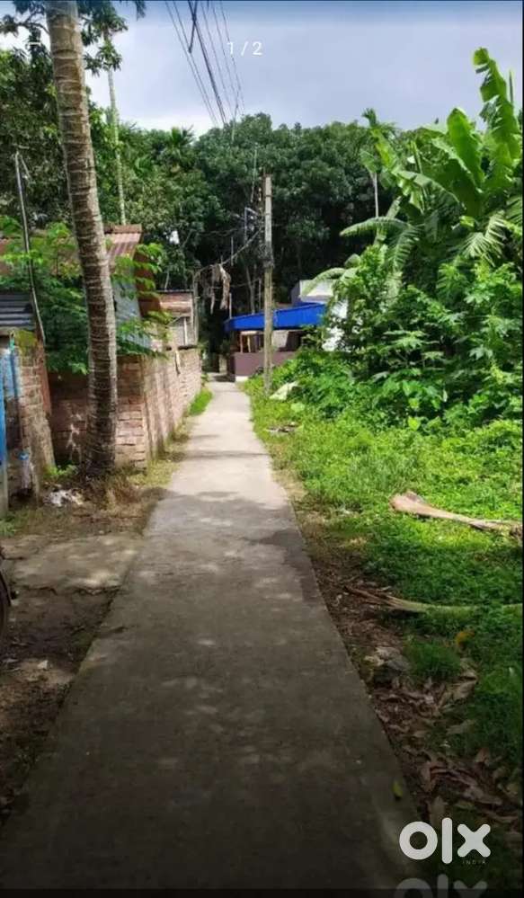 Own land.price 300000per kattha,Habra 4 km,Total 3Katha 4 chatak jomi