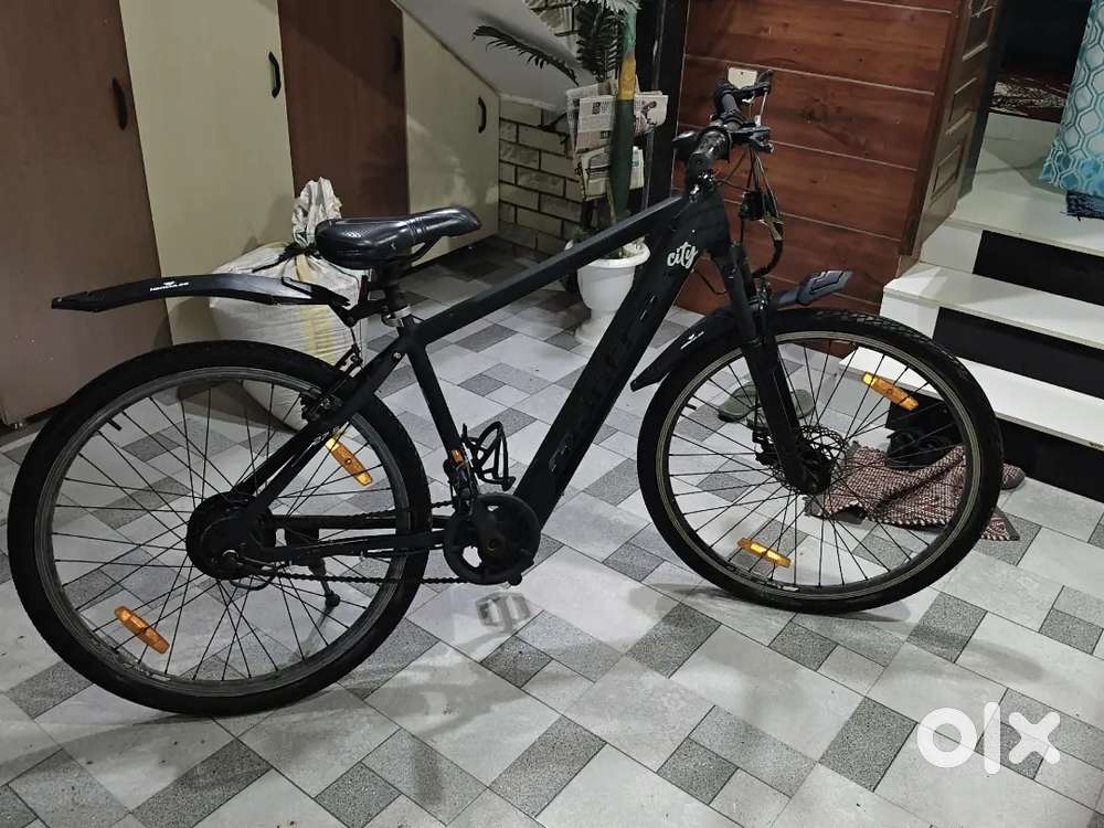 Electric cycle
