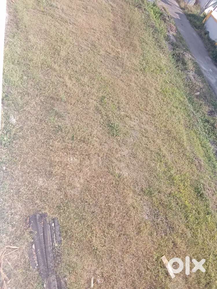 ரூபாய் 2.70 லட்சம் பல்லடம் பணிக்கம்பட்டி இல் நிலம் விற்பனைக்கு உள்ளது