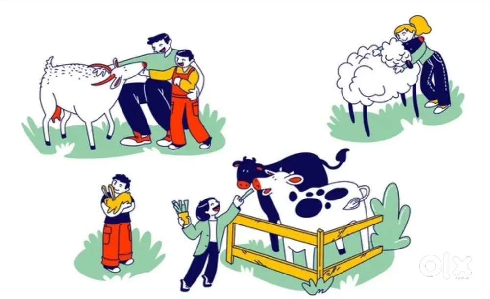 Cow Care Taker