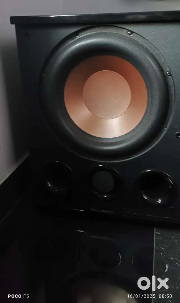 BIC America Acuostech PL 300