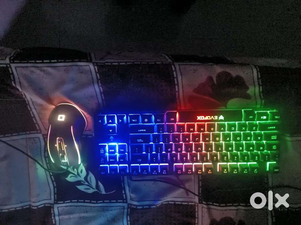keyboard and mouse