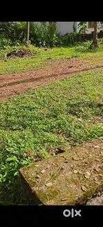 43 cent plot for sale