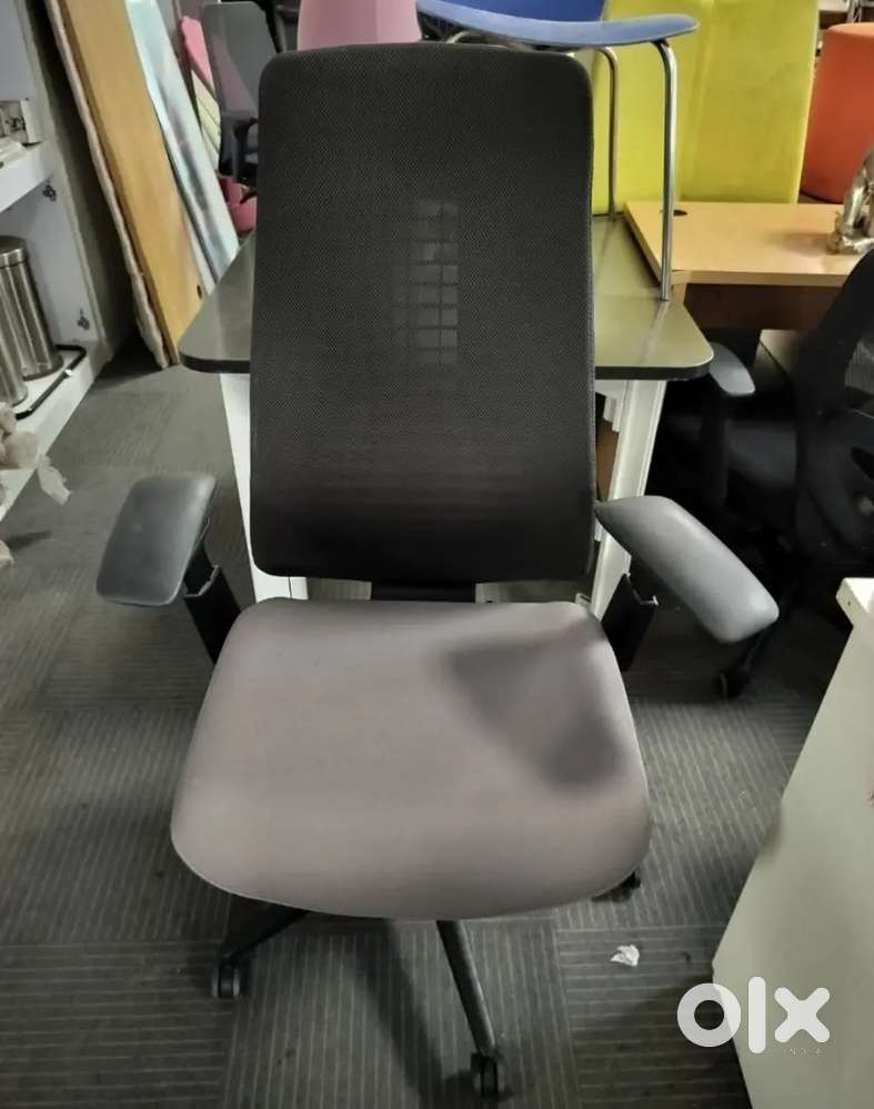 Fern Ergonomic Office Chair