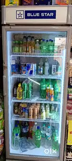 Commercial Fridge Blue star