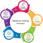 Medical coding training & placement institute