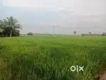 Land for sale near thiruporur