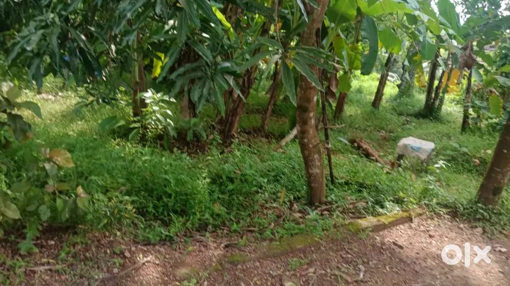 7 cent plot for sale