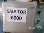 Haier mini fridge
