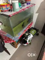 Fish tank for sale