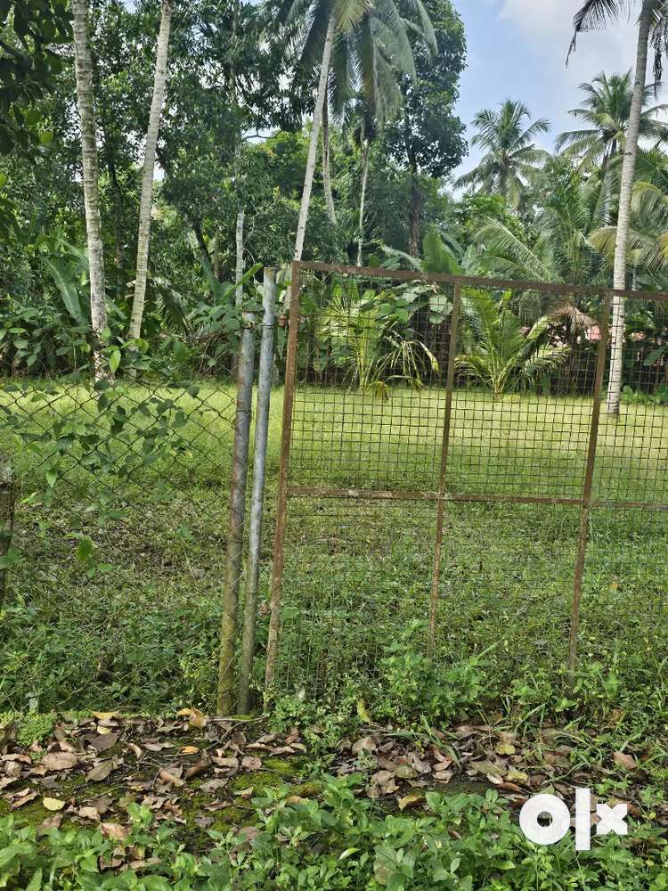 Residential plot of 30 cents for sale in Chettikulangara