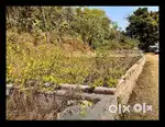 148 Sq. Yards Residential Plot for Sale in Asthal Village, Dehradun –