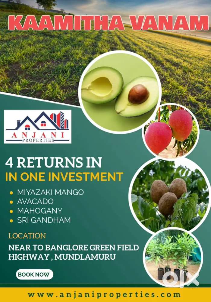 22cents farm land plots for @ adhanki