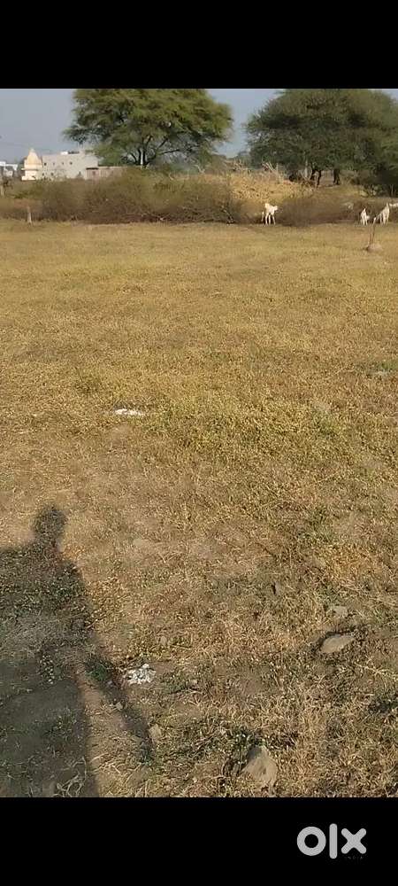 Excellent size and close to the city of Mahakal