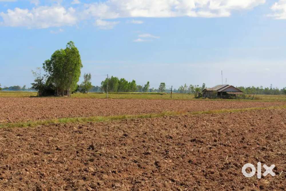 Agricultural land required