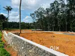 9 cent land near Kadayiruppu