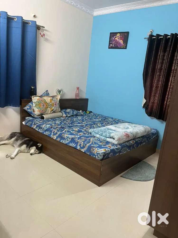 2bhk Pets friendly for rent