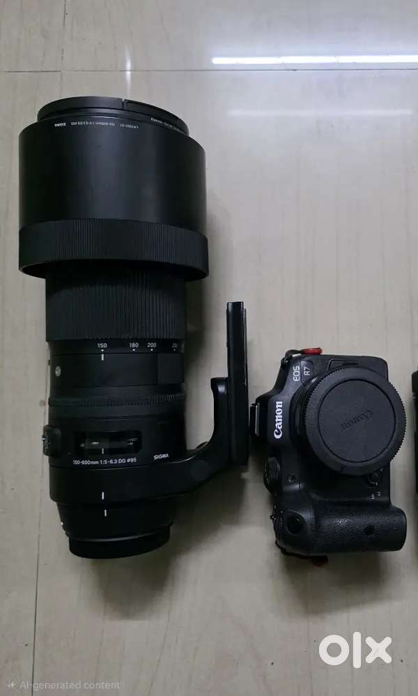 Canon EOS R7 body with original adapter and sigma  150-600 f/5-6.3lens
