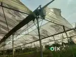 Used Polyhouse and Greenhouse  for sale and Lease (Rent)