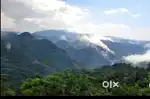 MUNNAR  1 ACRE 7000 SQFT  RESORT PERMIT PER CENT 1.5 LAKHS.