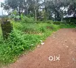 12 cents  residential plot for sale at Chottanikkara.