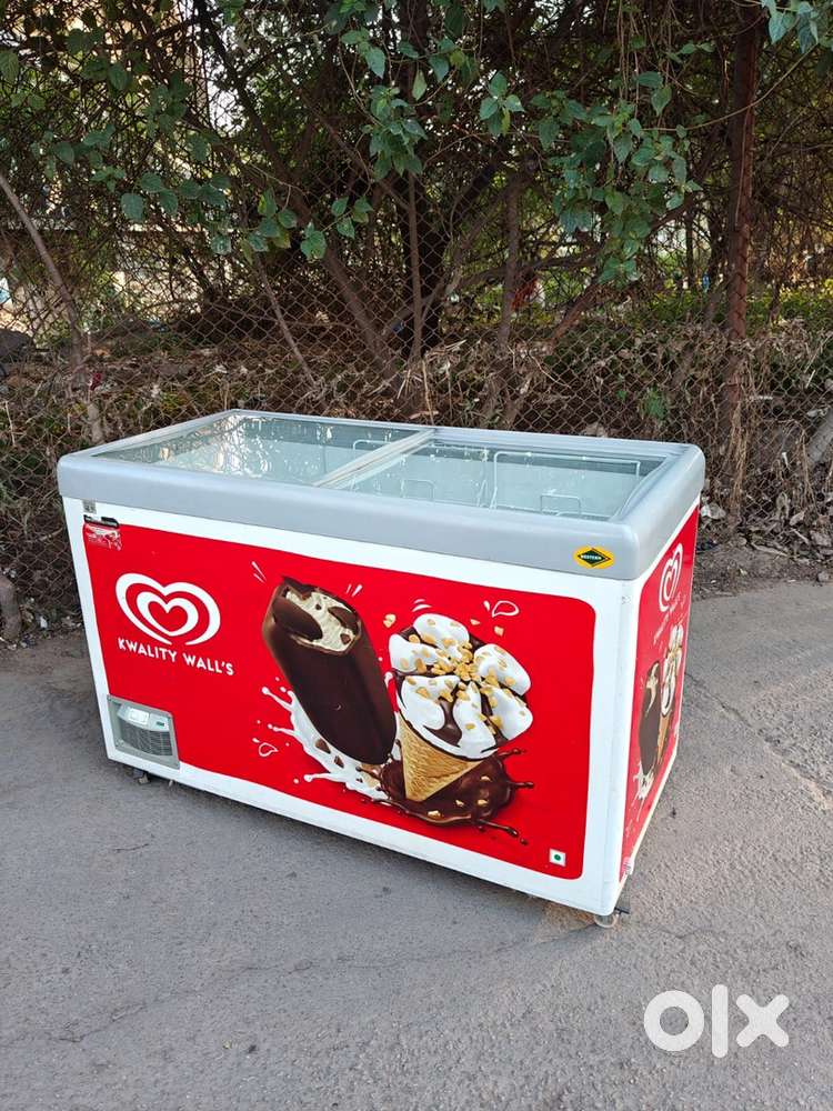 Western deep freezer/450L