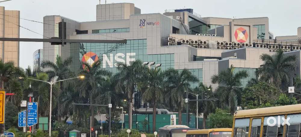 Female Personal Assistant for translation