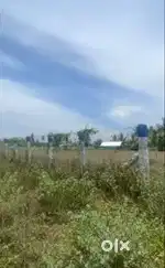 62 Cent Land for Sale – 1 km from Annur to Karuvalur route