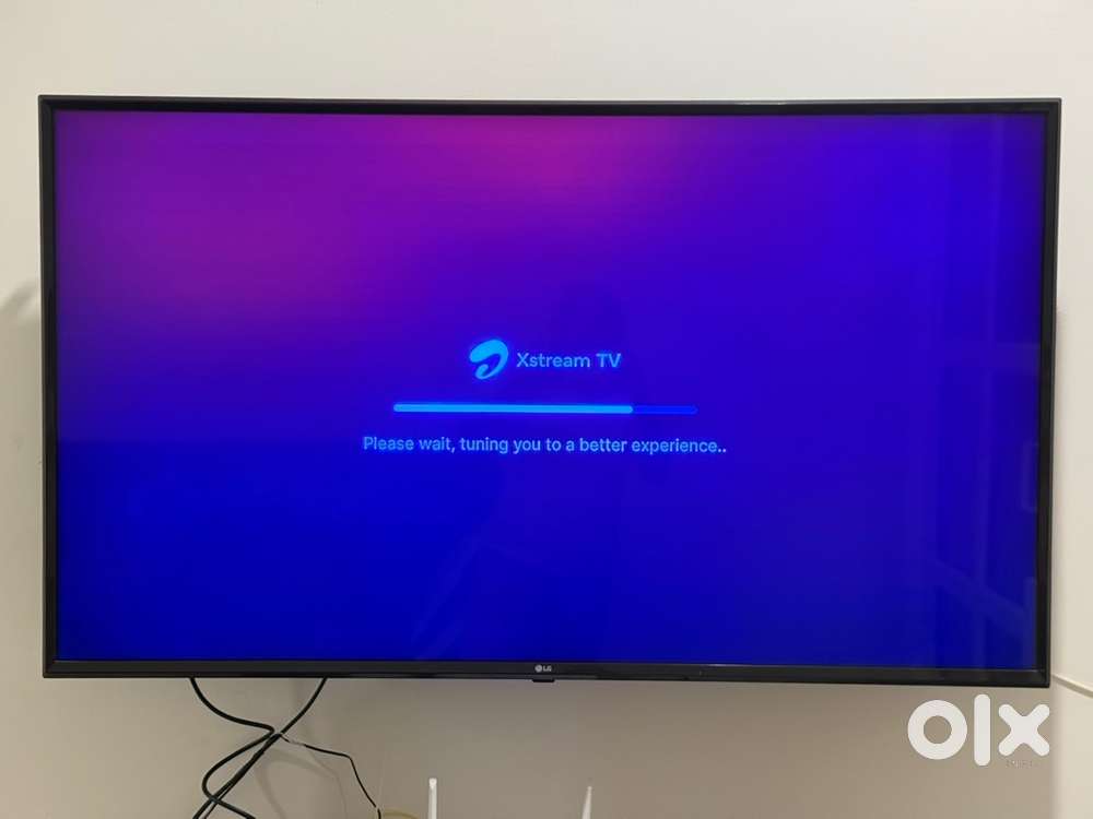 55 inch TV
