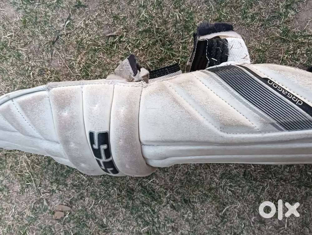 Batting pads