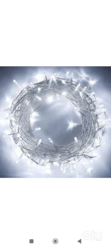 50 white rice lights (11 meters each)