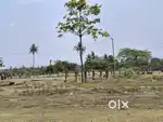 open plot 5000 sq ft North facing