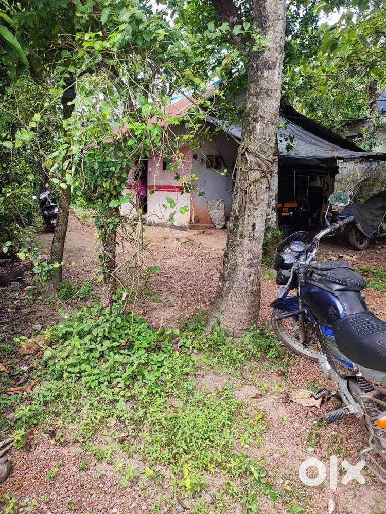 6.25 Cent Residential Plot For Sale Thripadapuram Near Bypass 1km