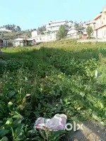Land for urgent sale