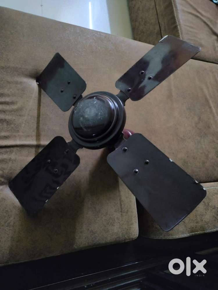 Big fan and small fan