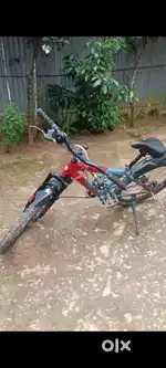 (new model in 2023)