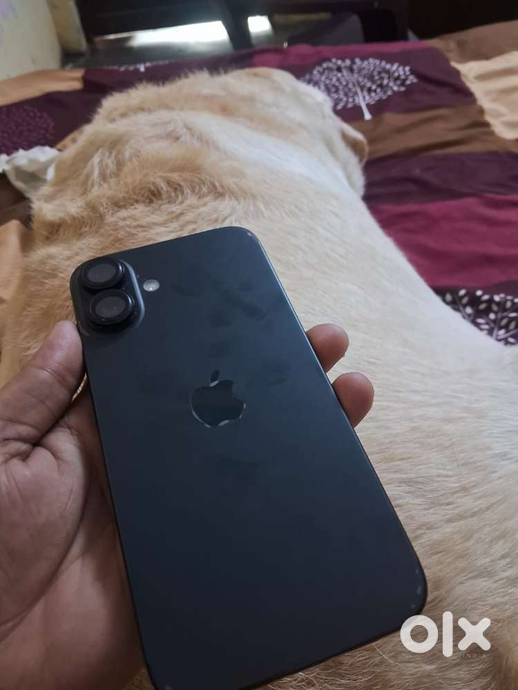 iphone 16plus
